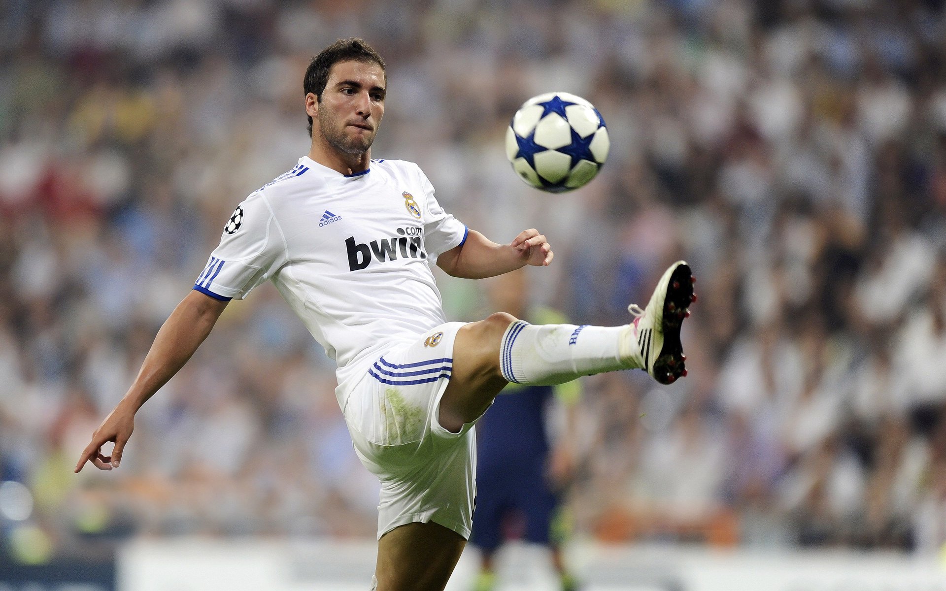 金玟哉的枢纽艺术，阿尔及利亚对阵厄瓜多尔中的攻防转换核心