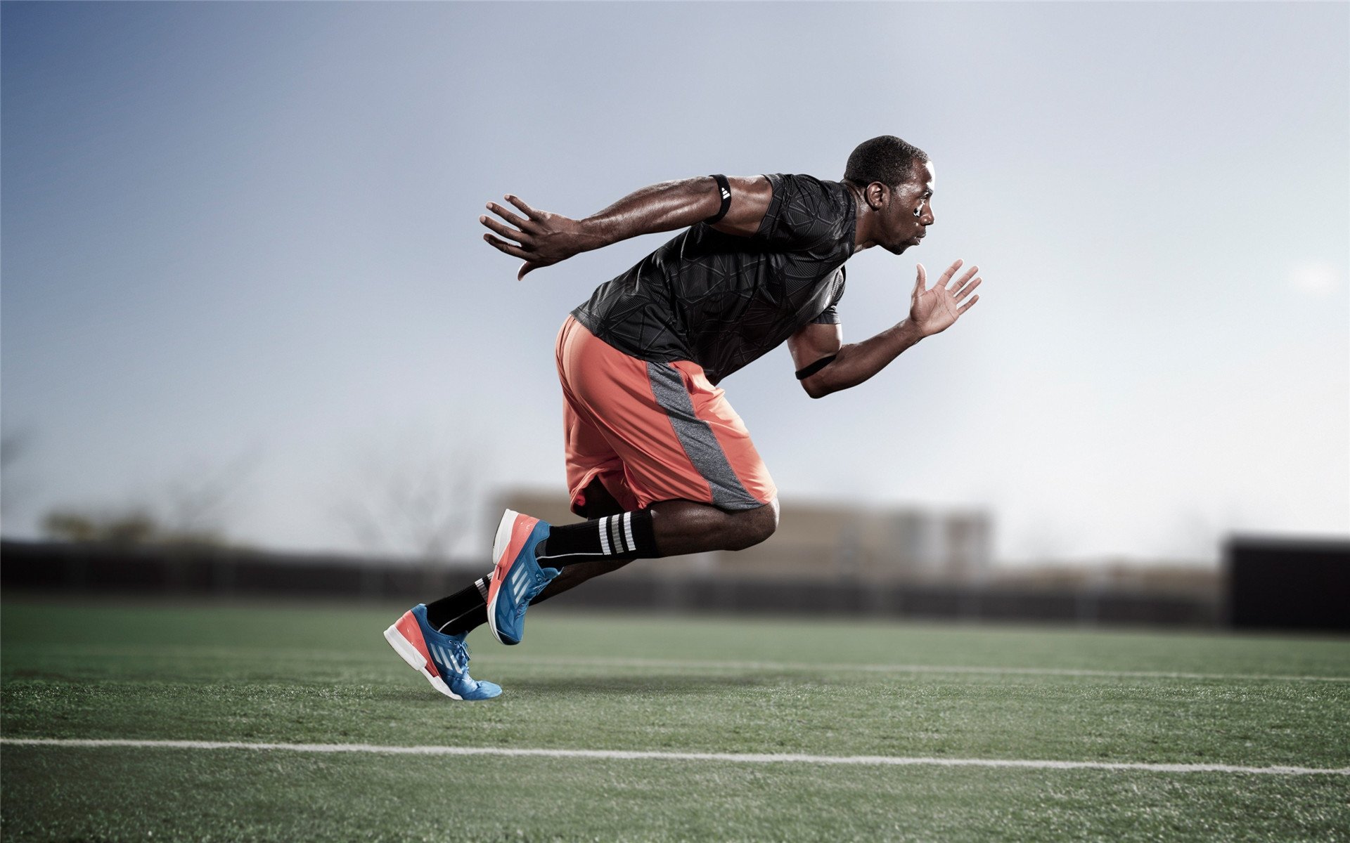 波尔领衔葡萄牙轻取韩国,战术纪律与个人才华的完美交响