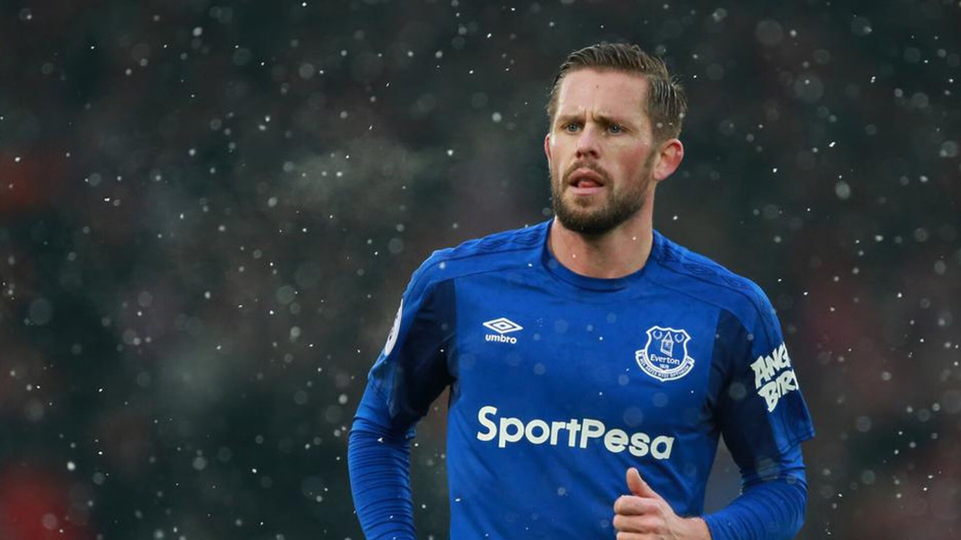 威廉姆斯惊天翻盘索伯，诺里斯关键制胜改写F1格局